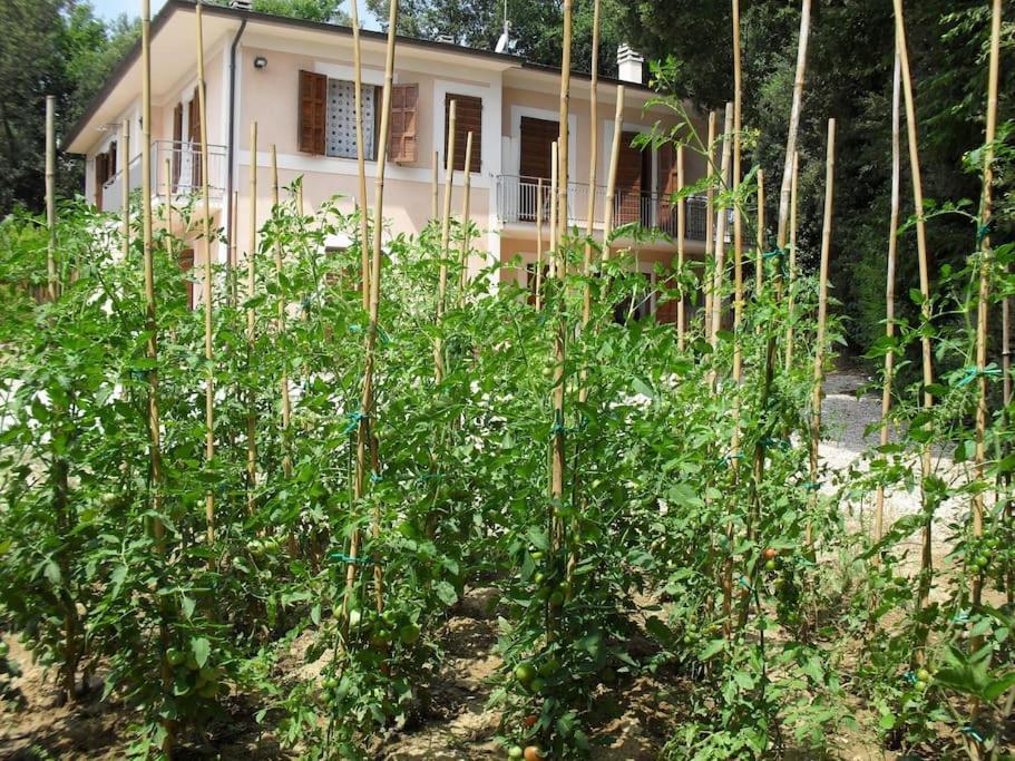 Apartment In Nature,10Min From City Pérouse Extérieur photo